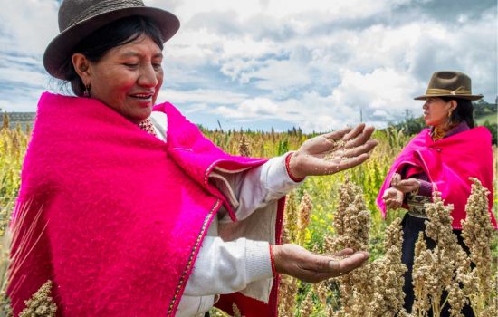 Mujeres de Quinua