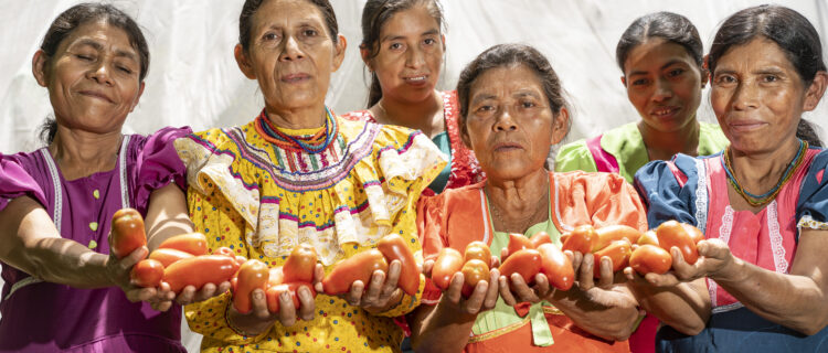 Día Internacional De La Mujer Indígena Paz Y Desarrollo 