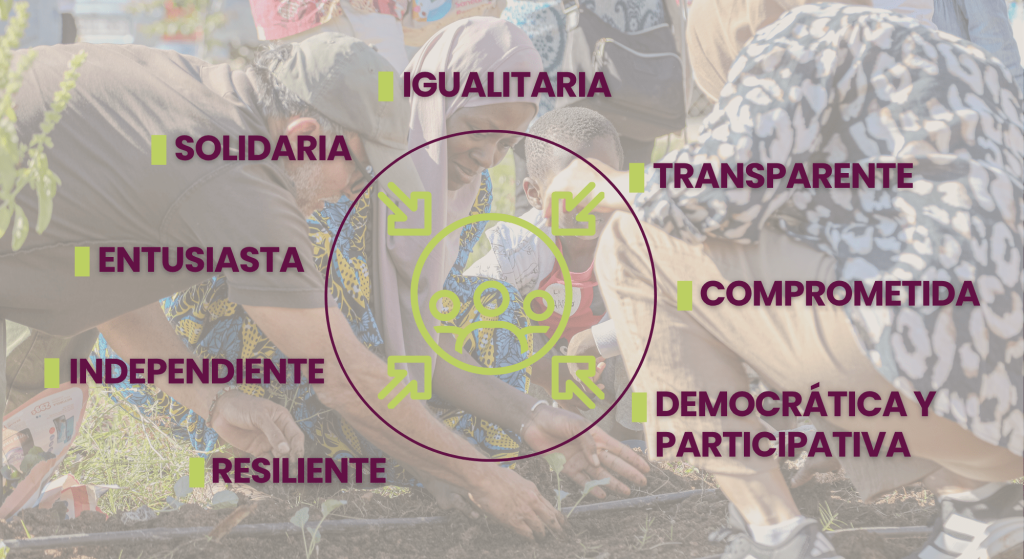 WEB-Principios-y-valores-1-1024x559