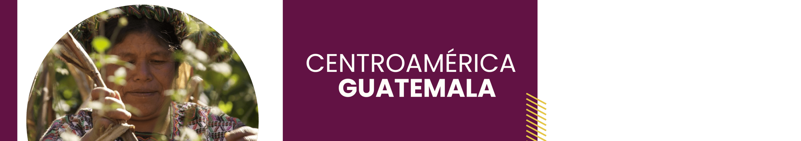 guatemala