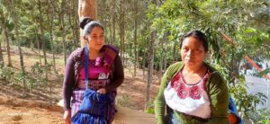 Mujeres Tintonel