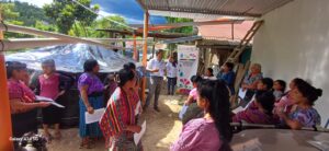 Taller 2. Tintonel cuidados del cosechador